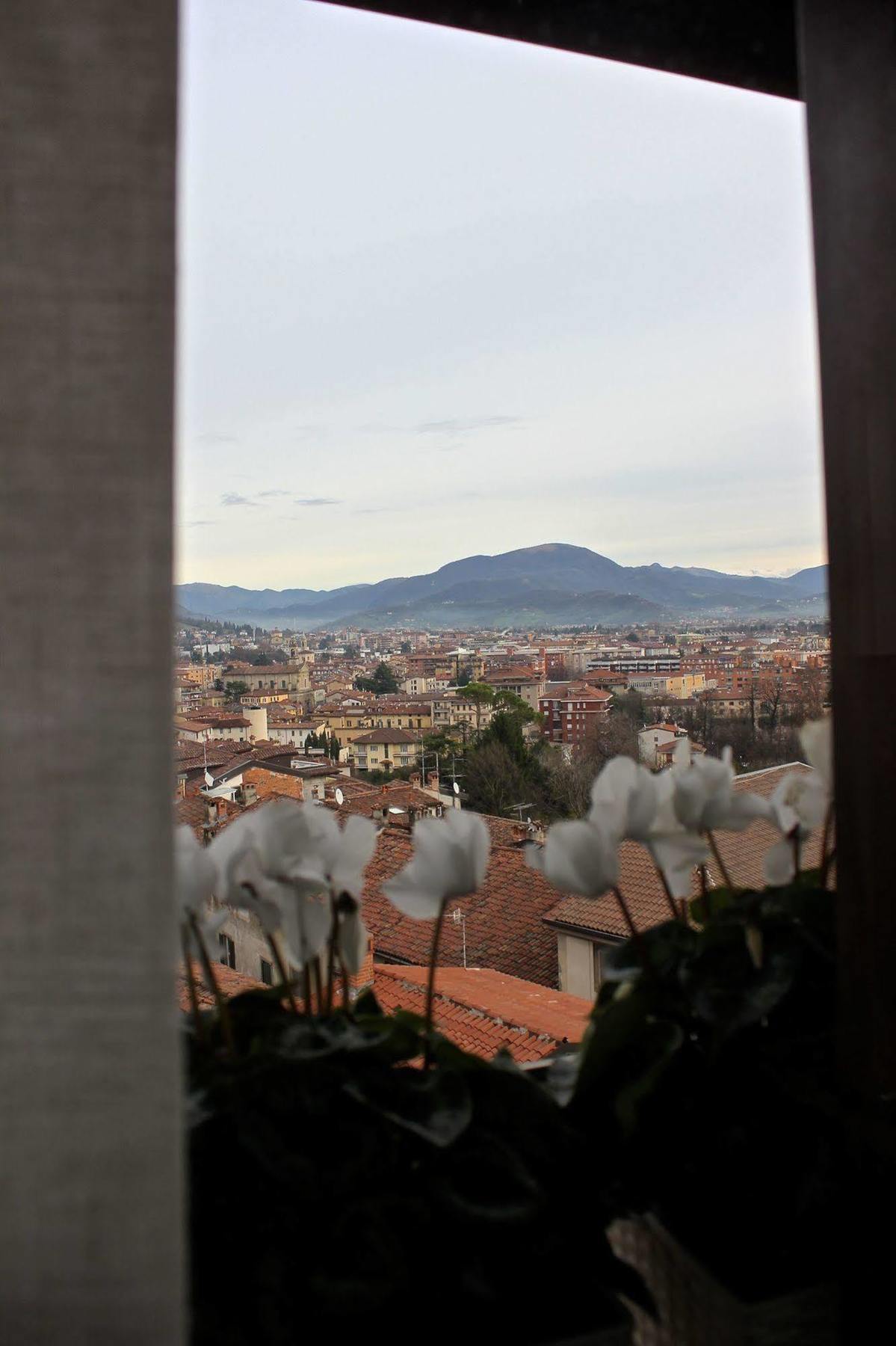 Casa Vacanza Fontana Del Delfino Bergamo Kültér fotó